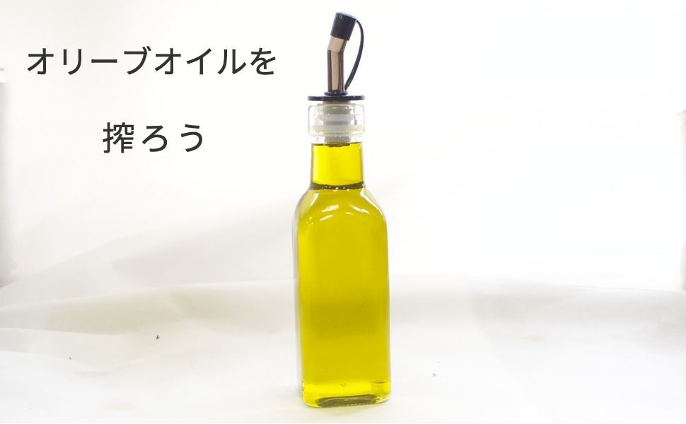 石野製作所 家庭用油しぼり機 オリーブオイルを搾ろう