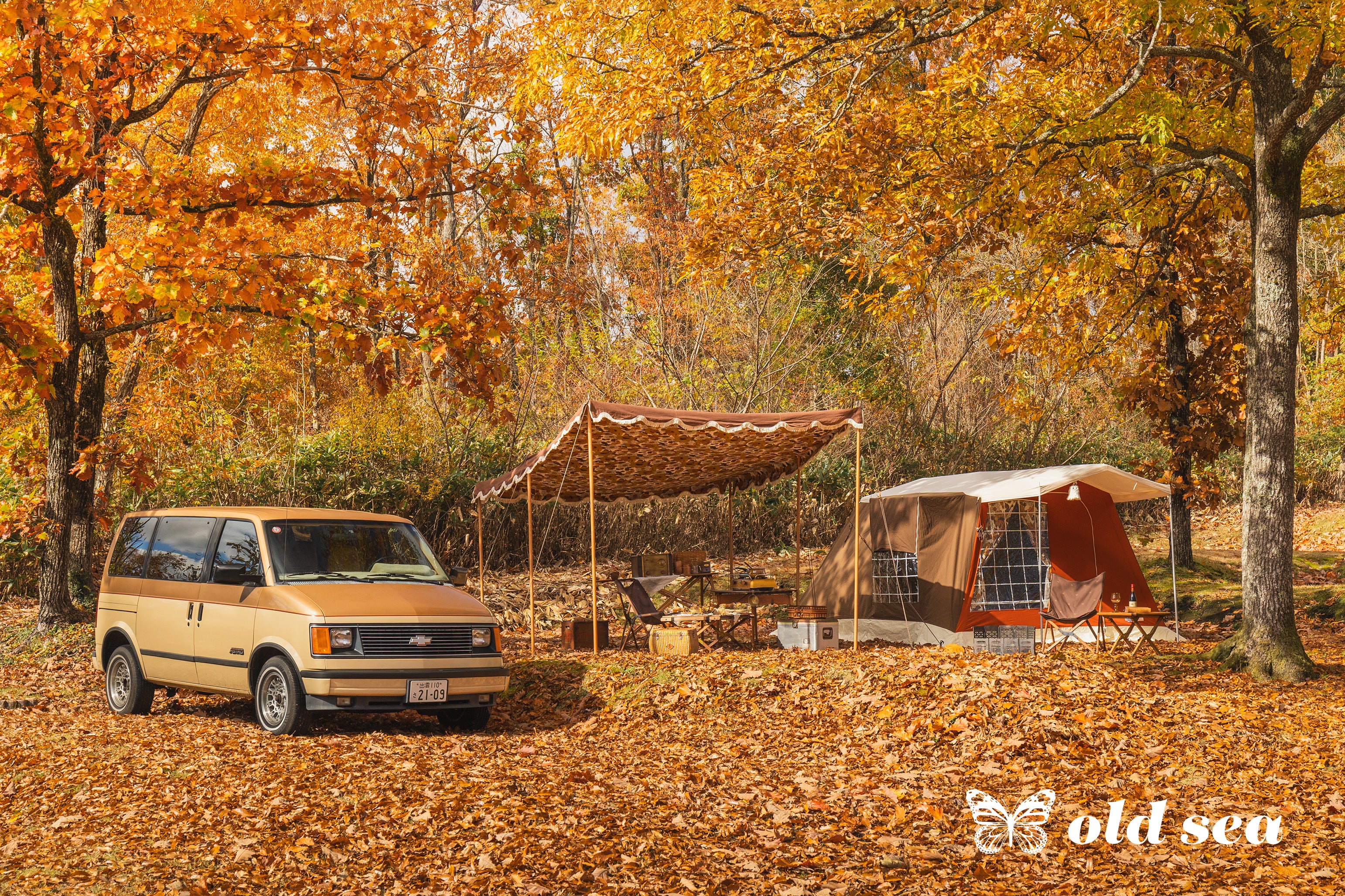 oldsea_a1.jpg?v=1741568685&