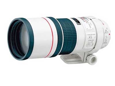 Canon EF 300mm f4 l IS USM | Image Stabilization Lens | LensGiant