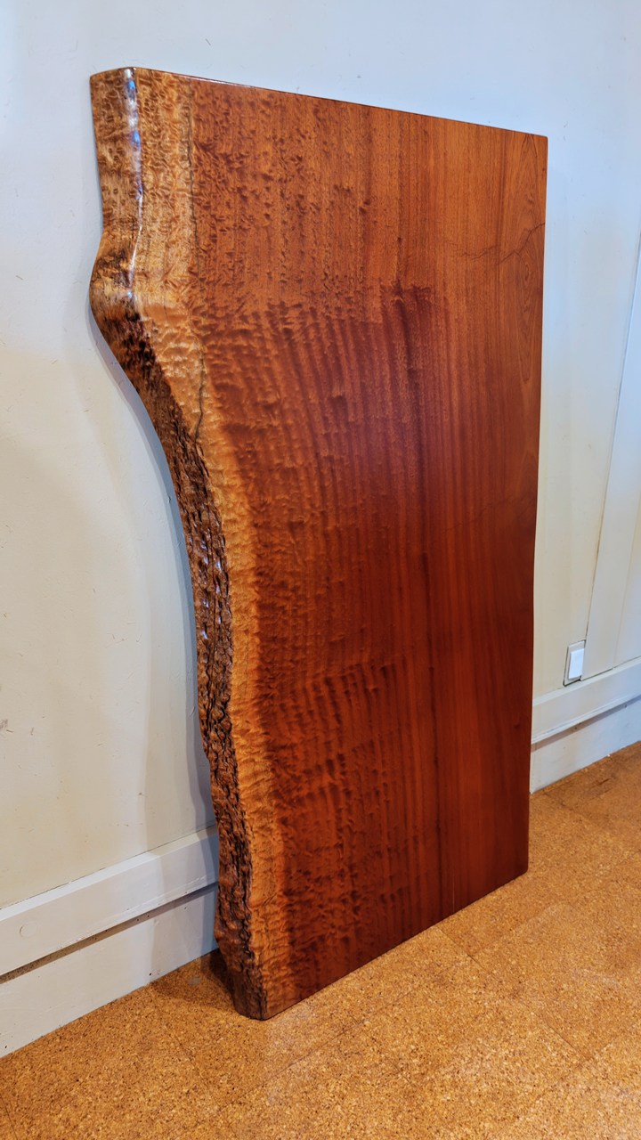 神奈川県 海老名店展示 一枚板 ボセ材 テーブル用天板 セール｜一枚板