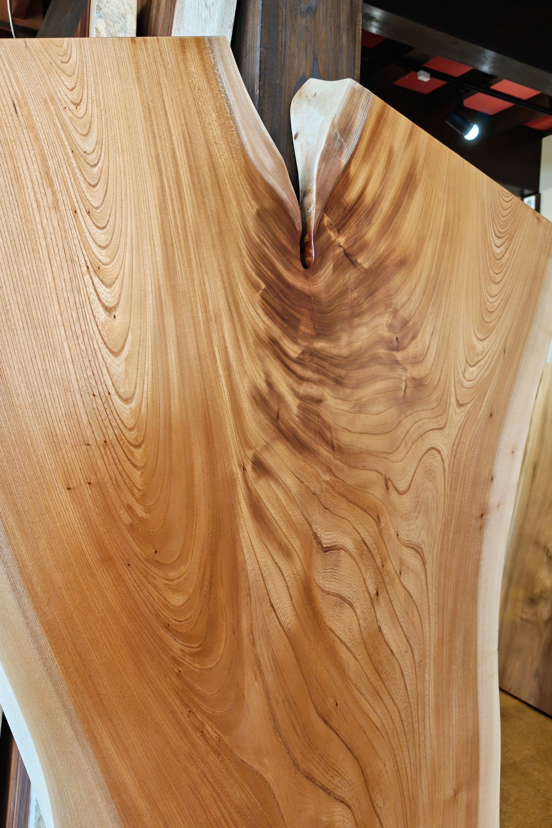 神奈川県 海老名店展示 一枚板 欅(けやき・ケヤキ)材 テーブル用天板