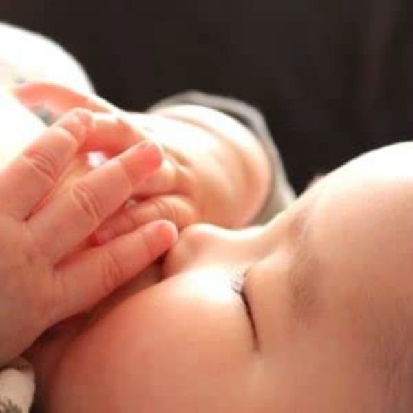 スペースくりんDuo オゾン装置 消臭除菌装置｜保安用品のプロショップ