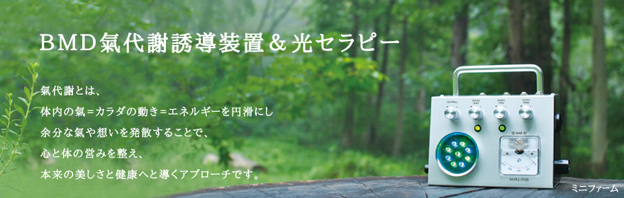 氣代謝・光セラピー,環健美農システム HAPPY | ひのきの森byBMD