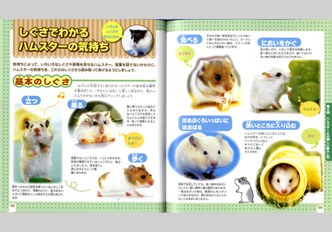 かわいい！たのしい！ハムスターの育て方 | ナツメ社