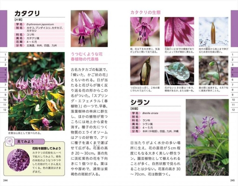 色で見わけ五感で楽しむ野草図鑑 | ナツメ社