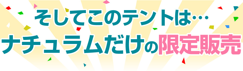 TENT FACTORY(テントファクトリー) 4シーズンダブルドームテント
