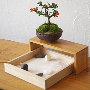 盆栽・苔玉を自分流に飾る【天然孟宗竹 苔玉・盆栽飾り台】こけだま