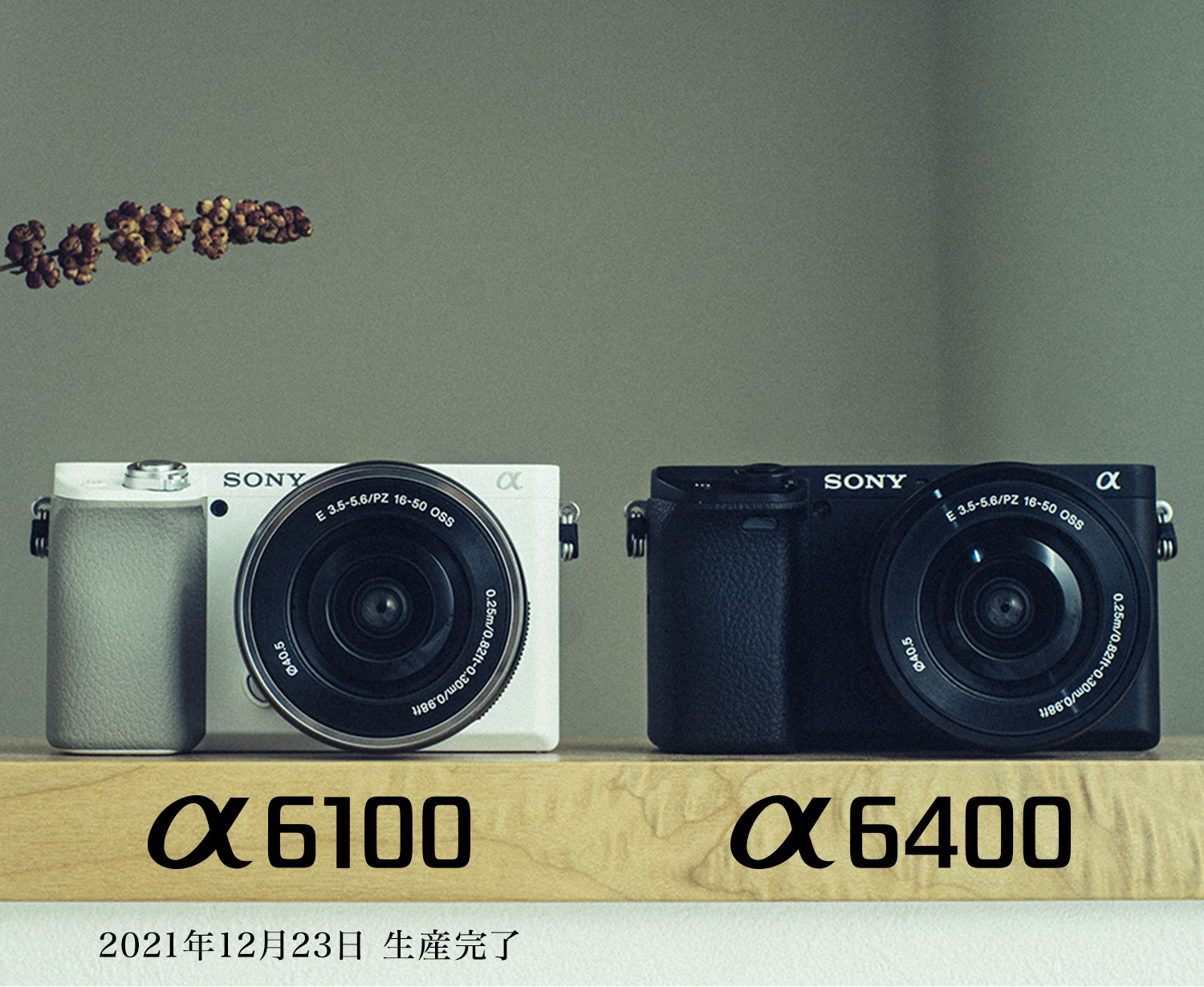 SONY ミラーレス一眼 【公式通販】