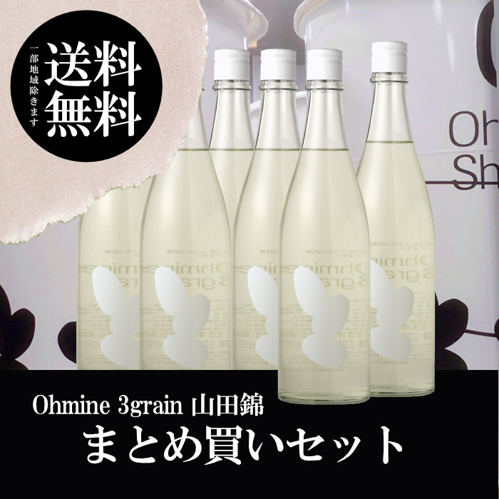 大嶺3粒 山田錦 まとめ買いセット（送料無料 北海道、沖縄は1個口