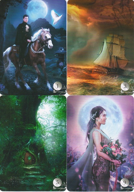 ド・ラ・ニュイ・ルノルマン』（プチルノルマン日本語解説付き） 商品