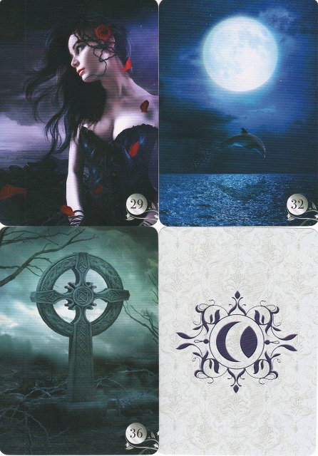 ド・ラ・ニュイ・ルノルマン』（プチルノルマン日本語解説付き） 商品