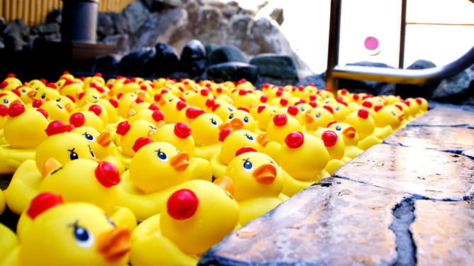 アヒル隊長の秘湯を巡る旅 ー おふろの王様｜トピックス｜アヒル隊長