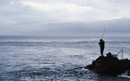 磯/磯釣り/磯ロッド（ダイワ）/○大島磯遠投