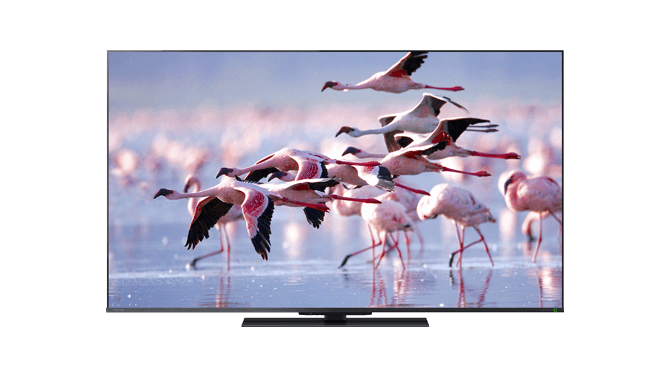 REGZA 55V Z670K 4K液晶テレビ下部に少し焼き付き有り REGZA 55Z670N 55V型 4K対応 液晶テレビ レグザ Z670Nシリーズ