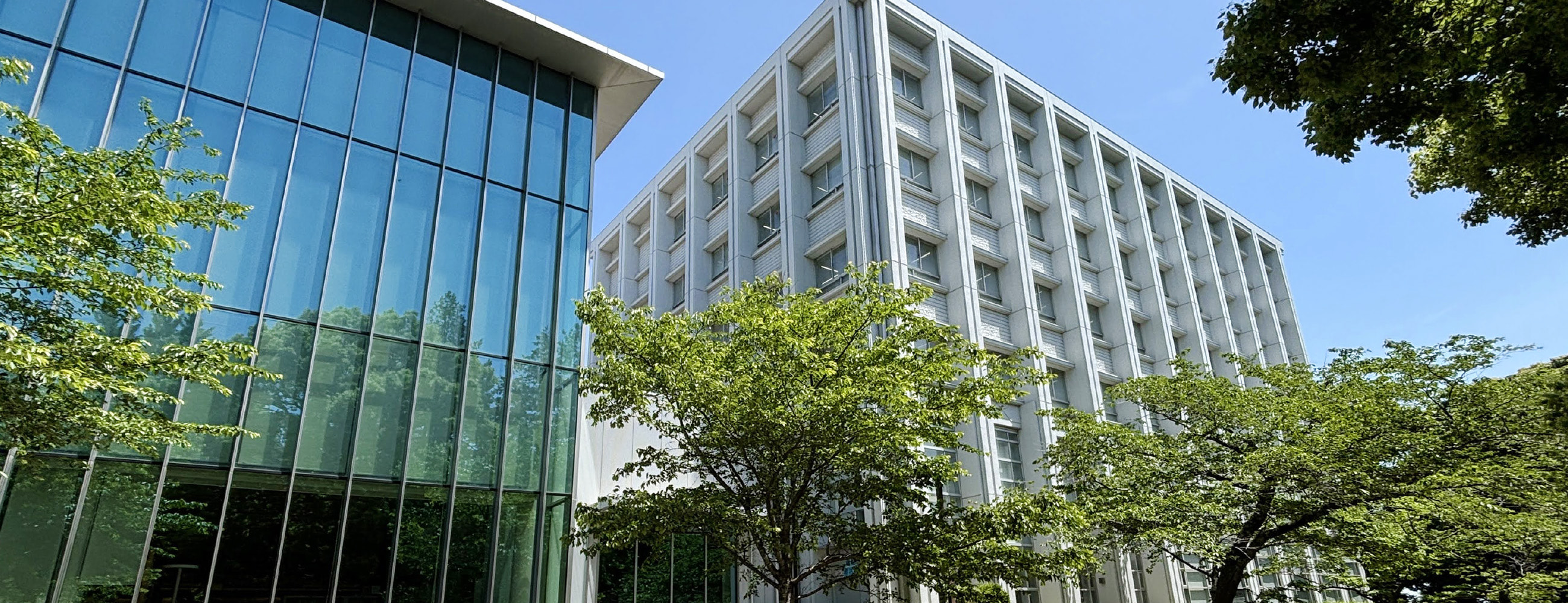 図書館｜流通経済大学