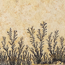 しのぶ石（Dendrite）｜化石販売・鉱物販売の東京サイエンス