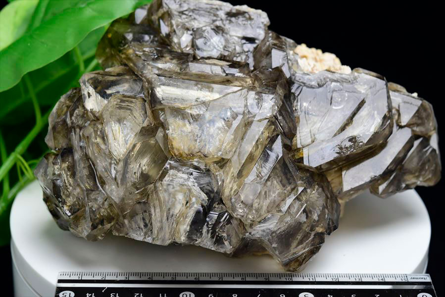 アリゲータークォーツ（ジャカレー水晶）エレスチャル 原石｜アップ