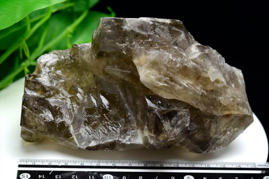 アリゲータークォーツ（ジャカレー水晶）エレスチャル 原石｜アップ