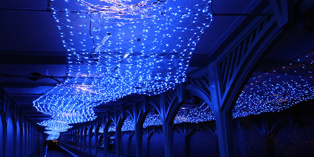 クリスマスデコライト | LEDネットイルミネーション（網状ライト）の販売