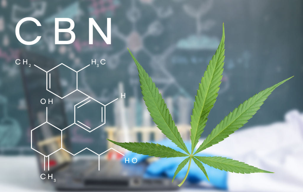What Is CBN and How Does It Compare With CBD and THC? | Zebra CBD