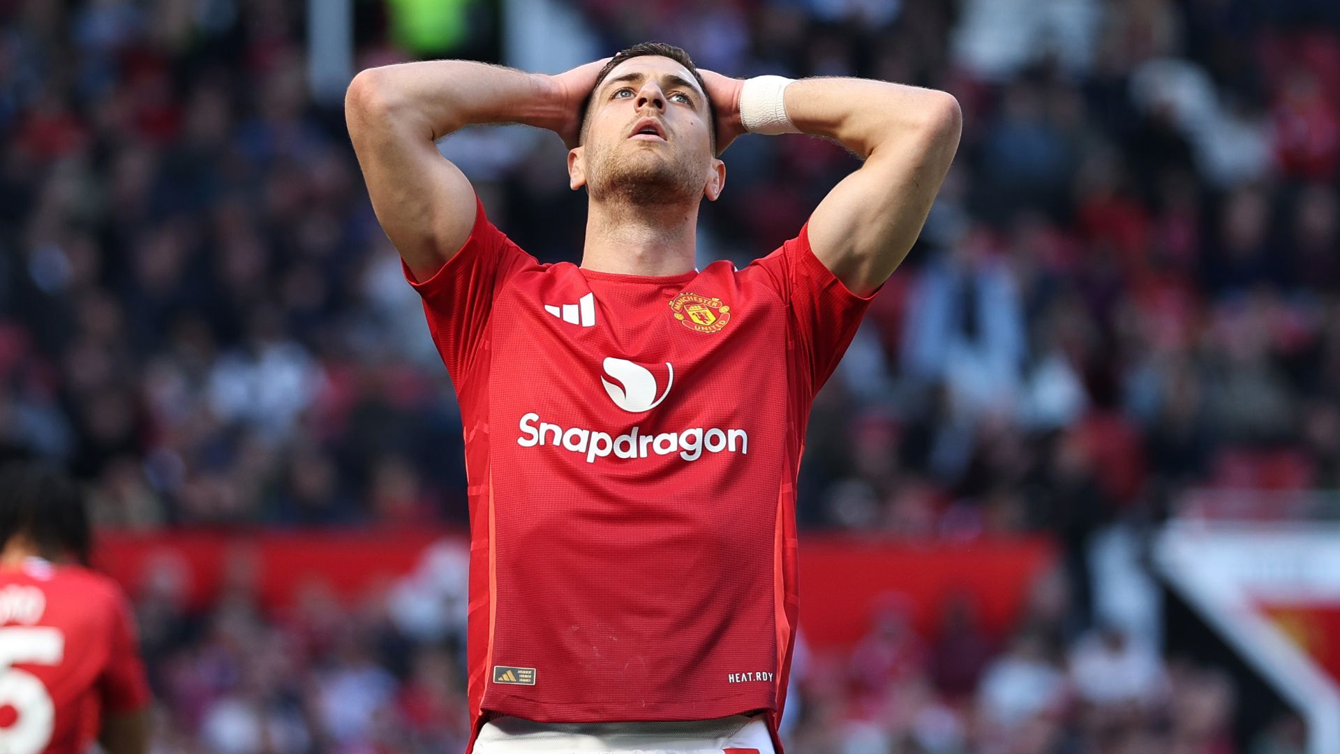 ほぼフル稼働の影響か…ダロトまでも負傷、今季終了の可能性も | Goal