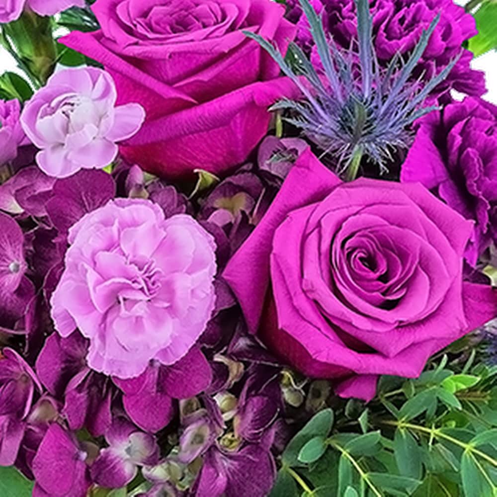 Mod Magenta in Fredericksburg VA - Flowers By Val