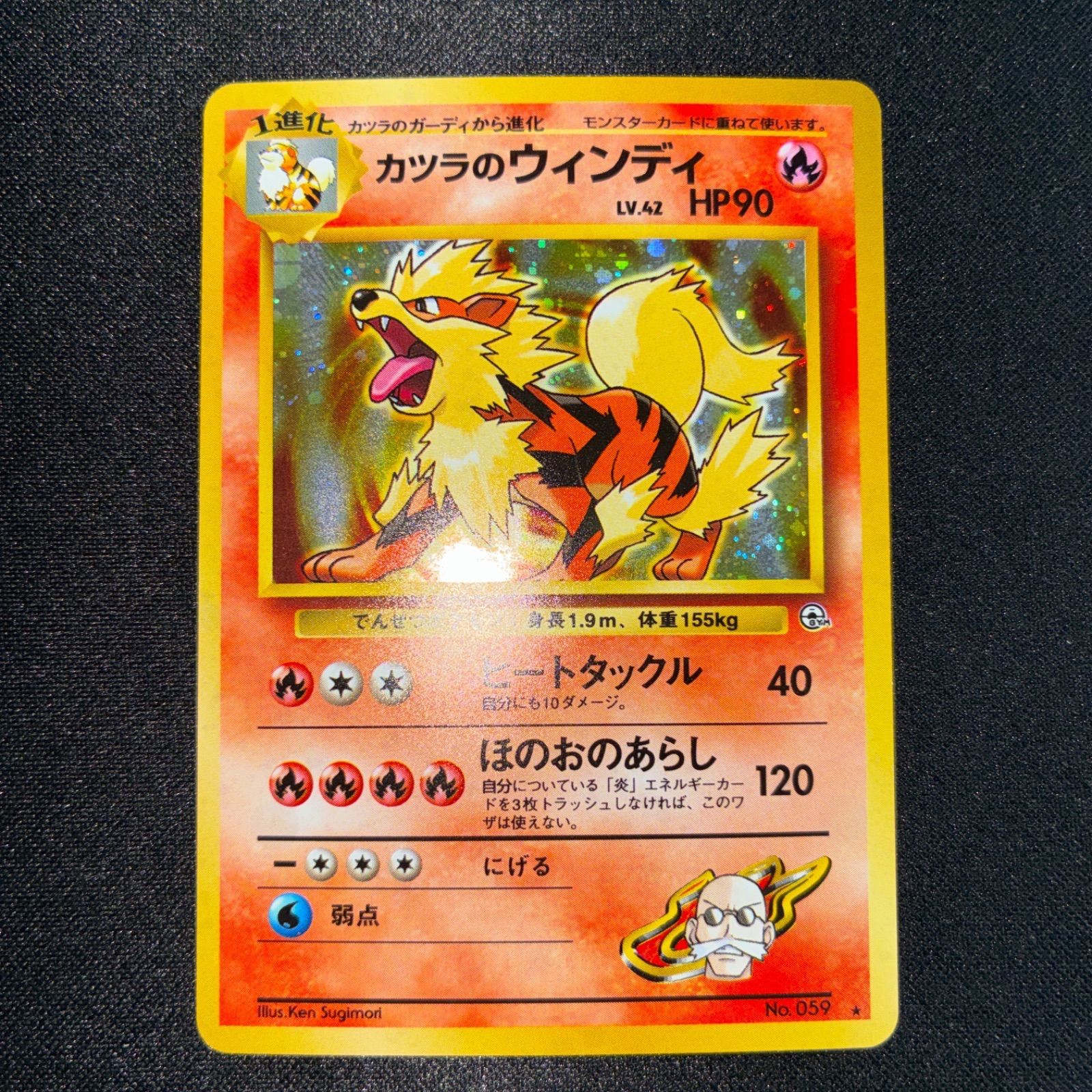 状態A＋ カツラのウィンディ 旧裏 キラ - メルカリ