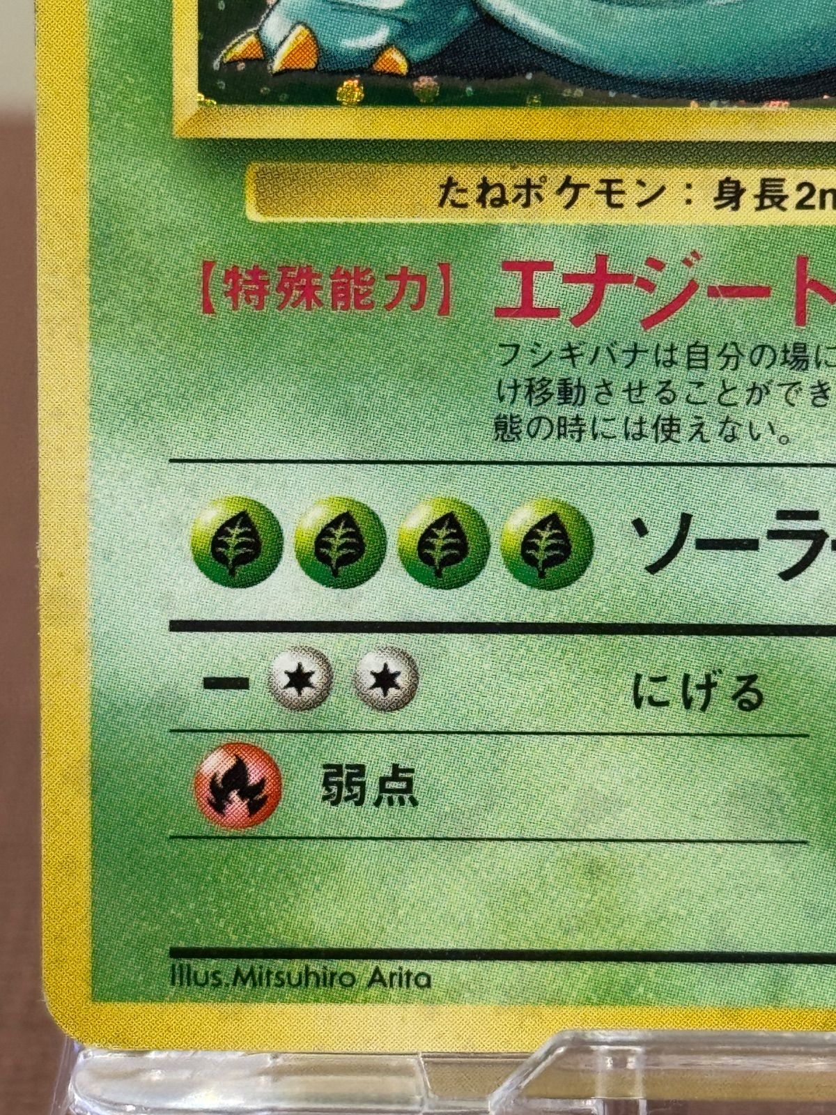 旧裏】フシギバナ LV.67 第1弾再版 ☆ No.003 ポケモンカード【送料