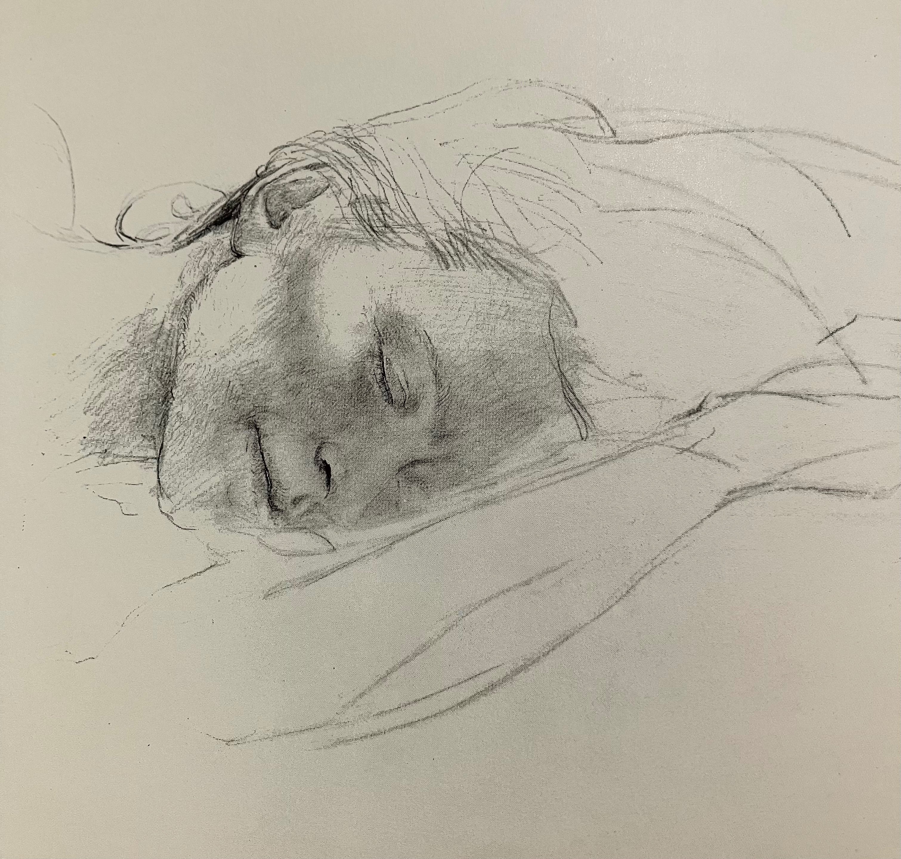 読書】アンドリュー・ワイエス（Andrew Wyeth）画集～古本屋さん