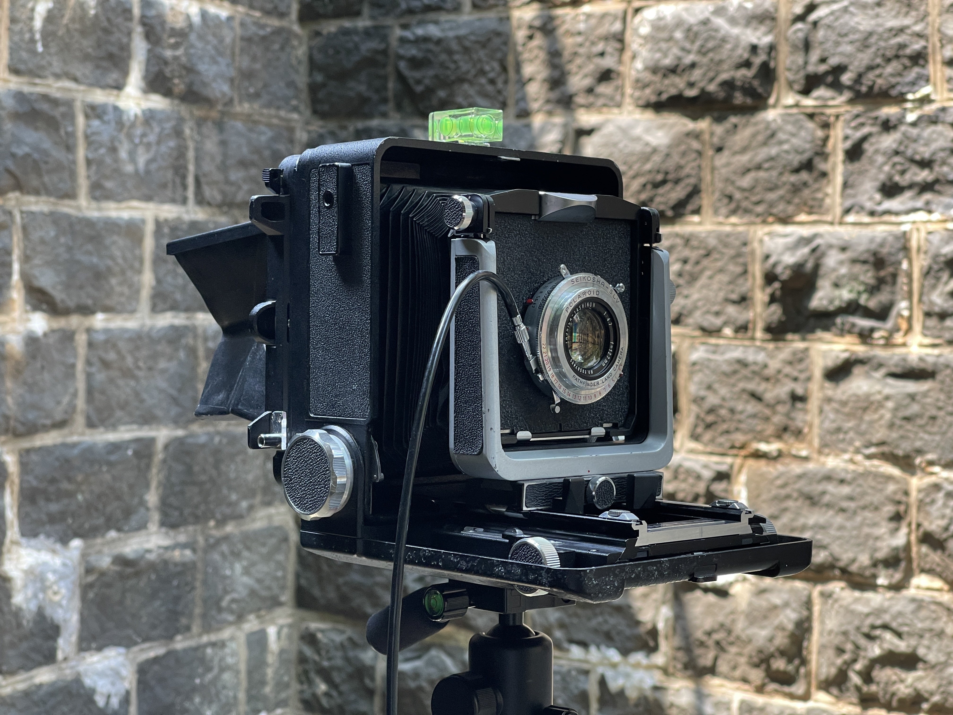 大判カメラWISTA45｜怪力熊男