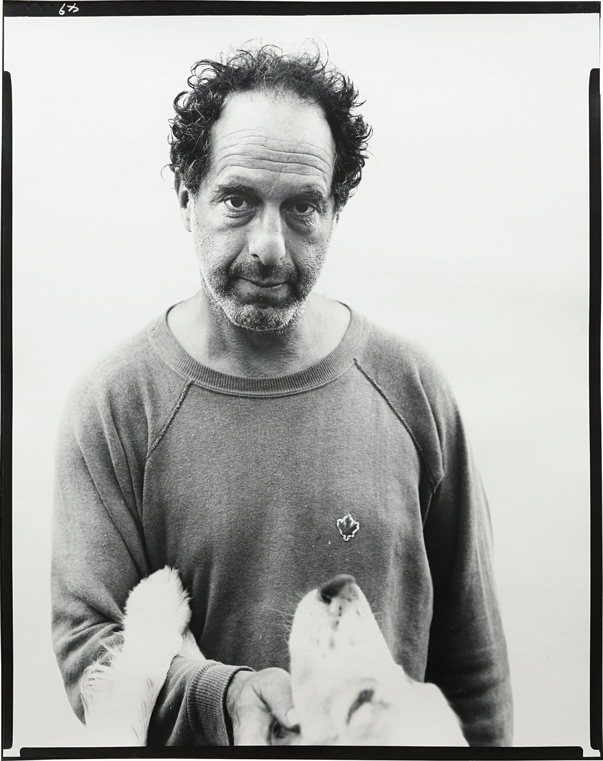 Richard Avedon Photographs Evening Sale