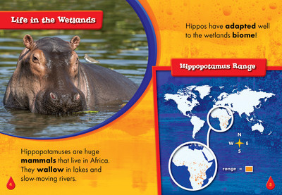 Hippopotamuses - Bellwether Media, Inc.
