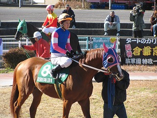 第25回全日本新人王争覇戦競走②｜地方競馬元ジョッキー 赤見千尋の