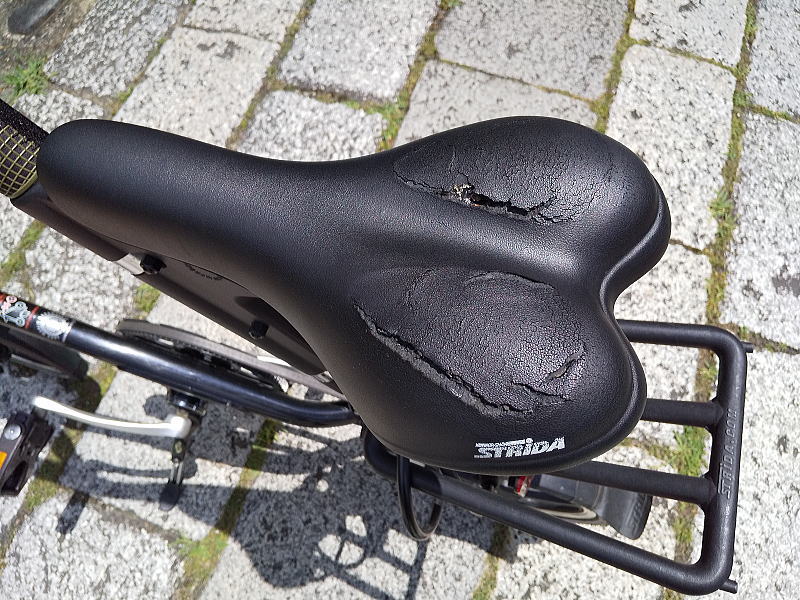 ストライダ レビュー 長所&短所と10年以上乗った感想,故障,メンテ