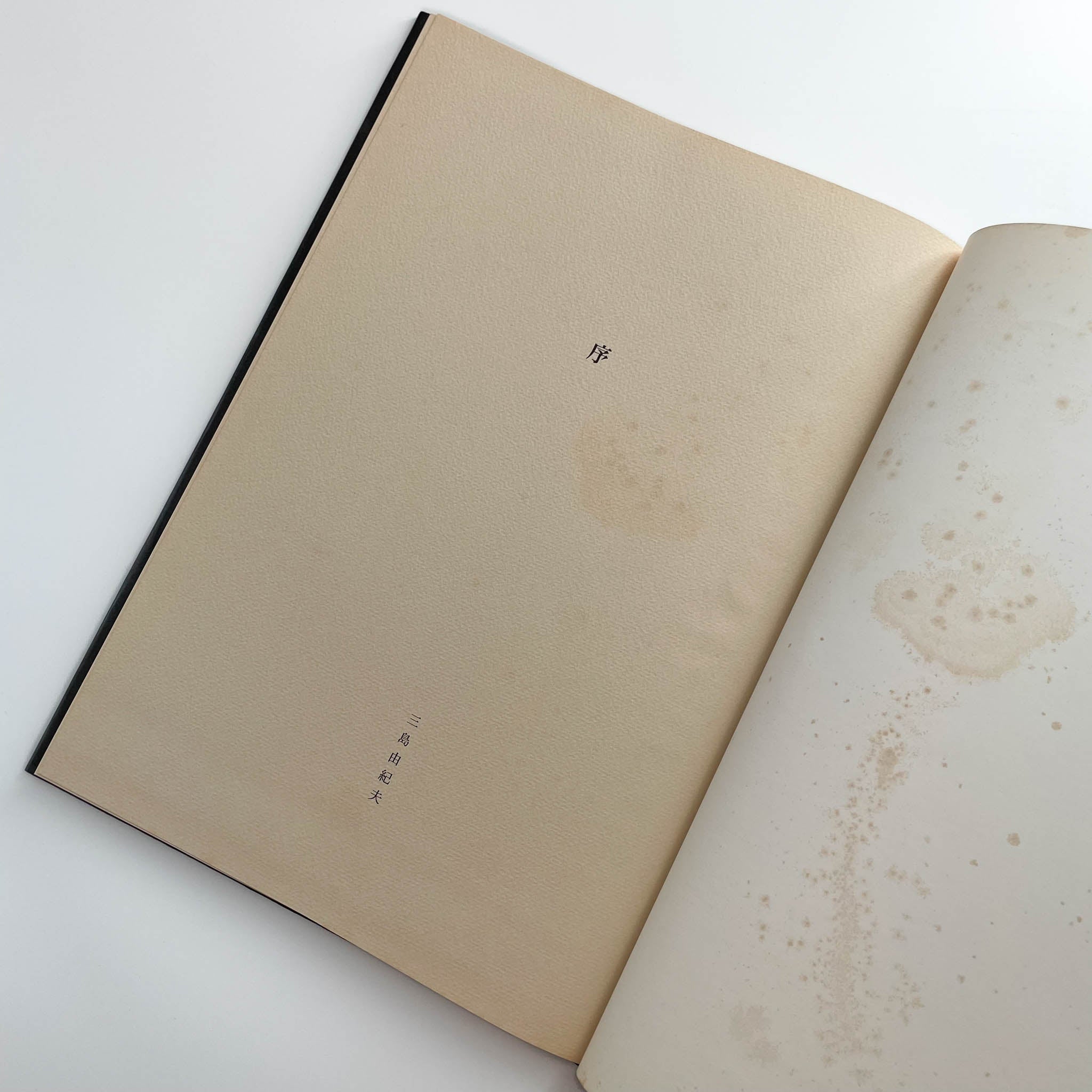 細江英公写真集 抱擁 – 文福