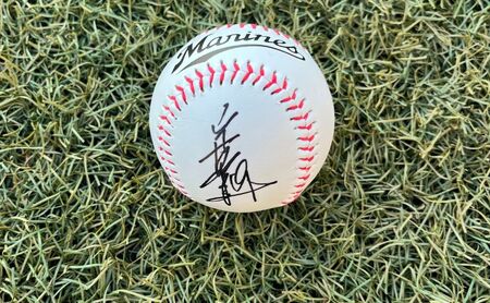 サインボール 千葉ロッテマリーンズ 選手 直筆サイン 野球 ボール 野球