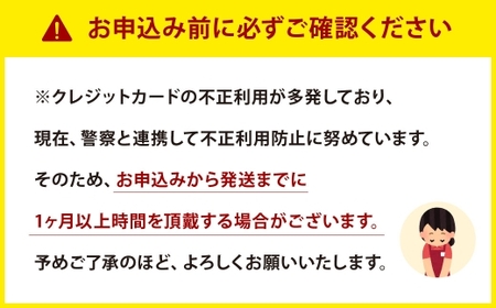 空気清浄機 ブルーデオ S型 日本アトピー協会推薦品 空気消臭除菌 消臭