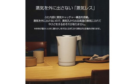 タイガー魔法瓶 温度調節機能付き電気ケトル PTQ-A100HS スレート