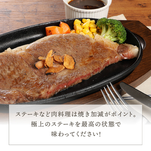 南部鉄器 最高級和牛を焼くためのステーキ皿 【OIGEN 作】 伝統工芸品