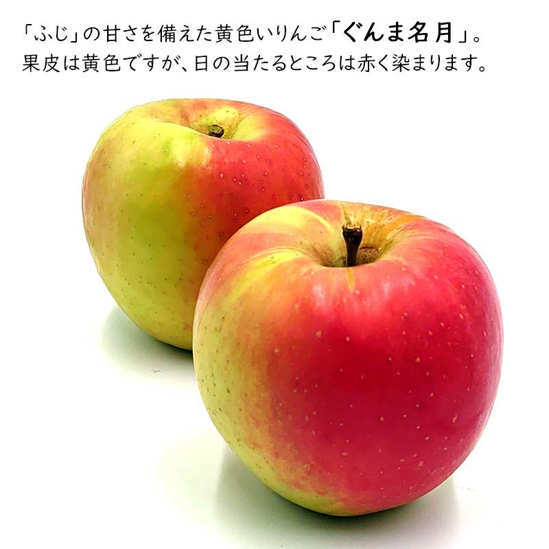 長野県産 りんご ぐんま名月 特秀 | COCORO FARM VILLAGE