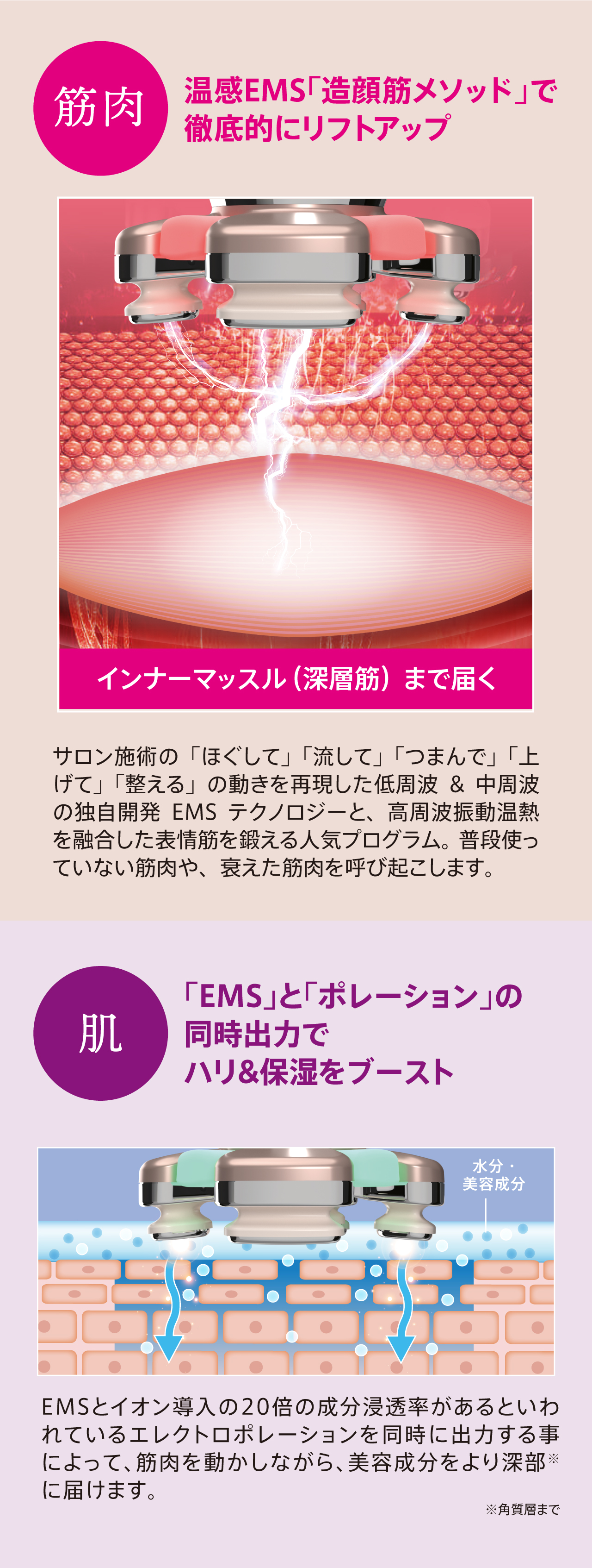 ゾーガンキンブルーム【ZOGANKIN】｜クルールラボ株式会社 | クルール