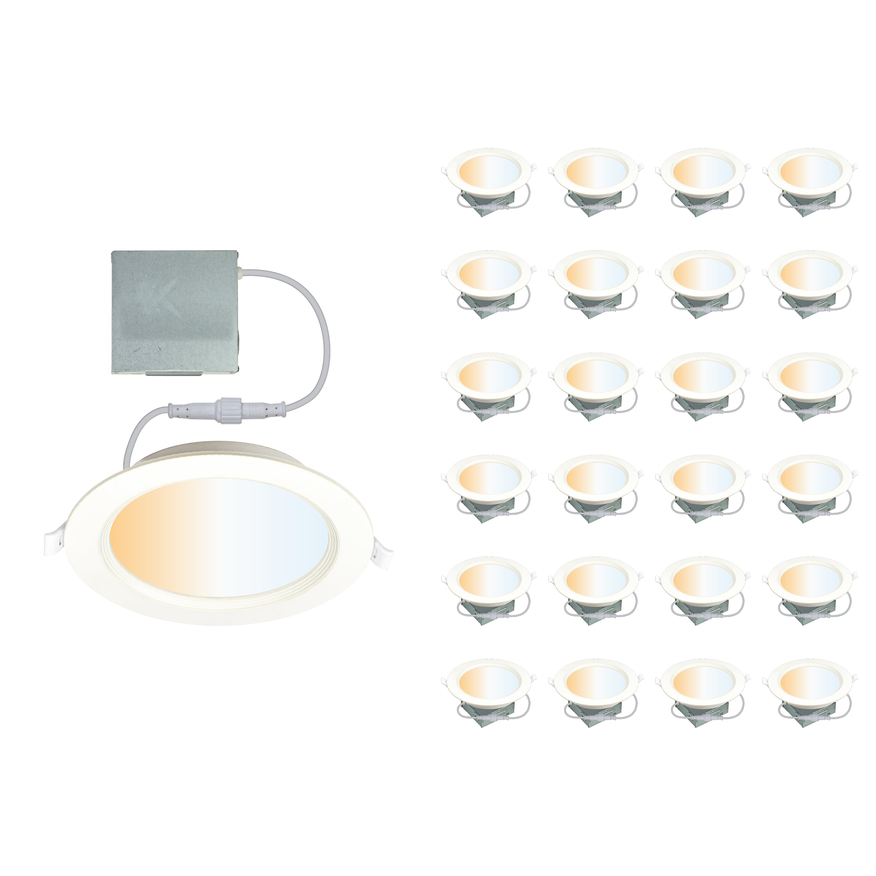 CLEANLIFE® 120VAC 6