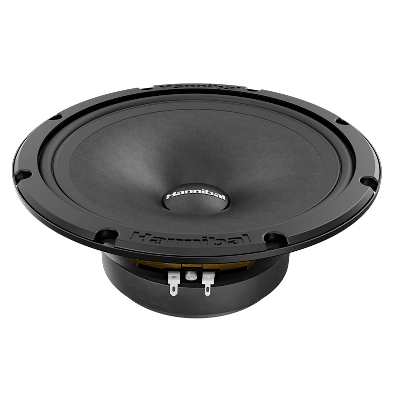 Hannibal MH-81 v2 | Speakers