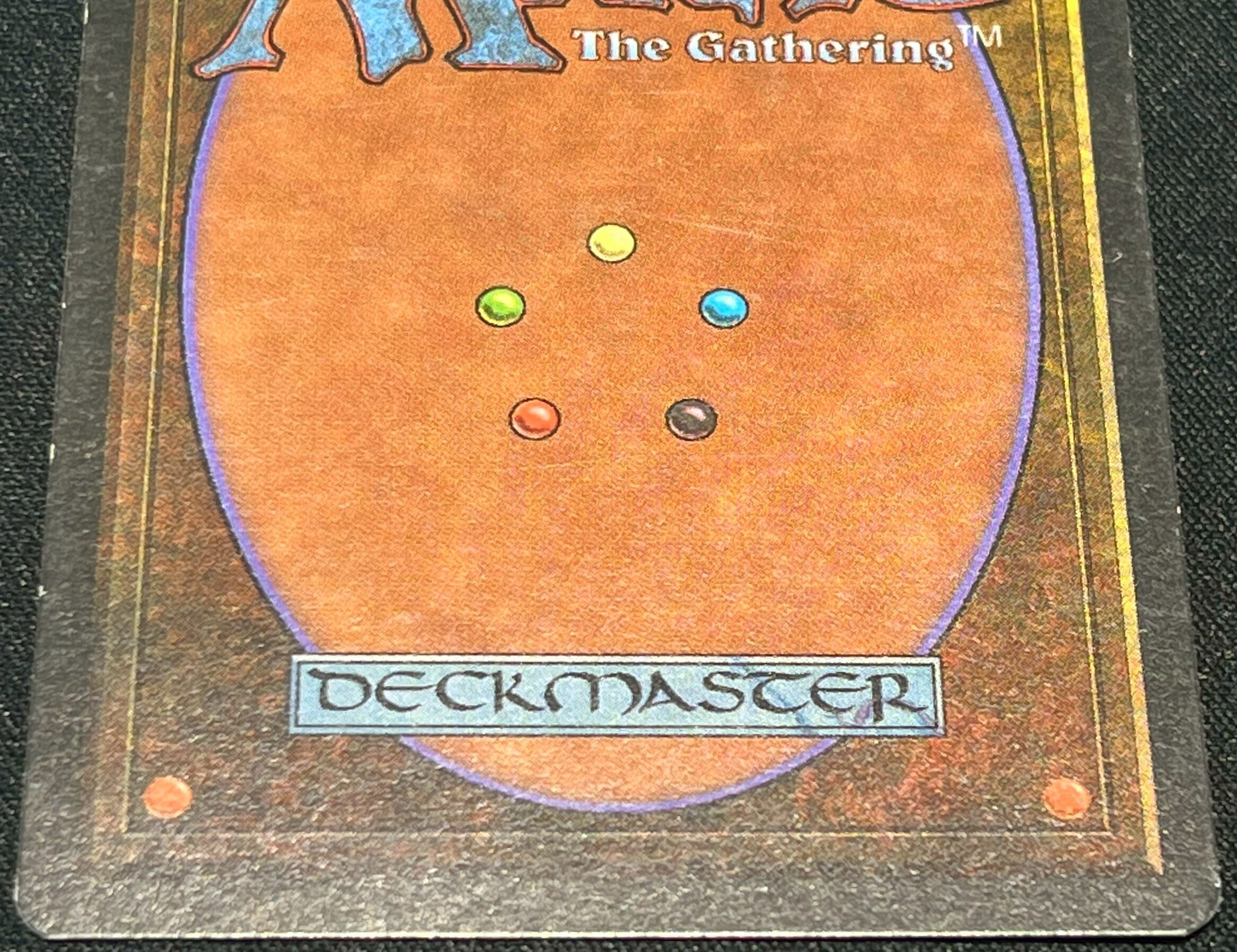 3ED)Savannah(MP)(EN)/(未訳) | 未登録 | ドラゴンスター | マジック