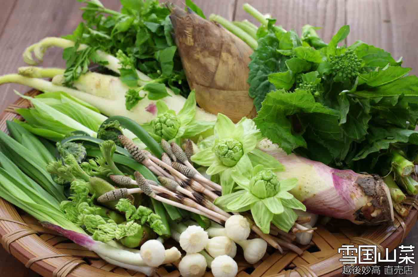 のかんぞう | 商品紹介 | 雪国山菜 [越後妙高 山菜直売店] 公式ストア