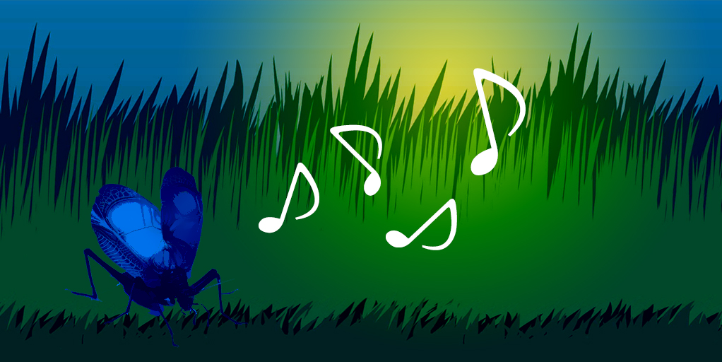 スズムシ（鈴虫）の鳴き声 - 無料効果音素材配信と試聴ページ