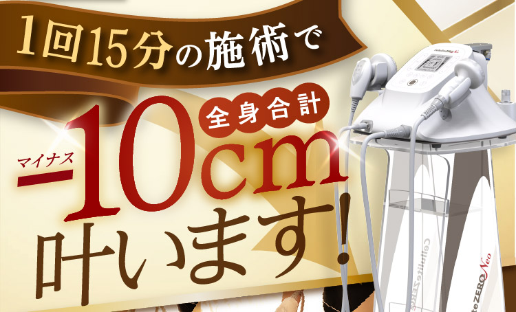 セルライトゼロネオ 大人気の業務用エステ機器|ワールドジャパン