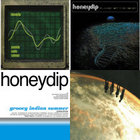 Portable Audio Science -Remastered- | honeydip