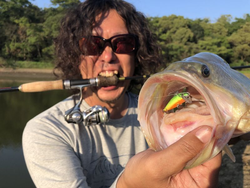 M50/M60 SR-S color code [Fin-ch] - Fin‐ch