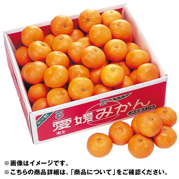 愛媛県産 宇和島みかん「味楽の赤箱」 - SEIYUドットコム ギフト館